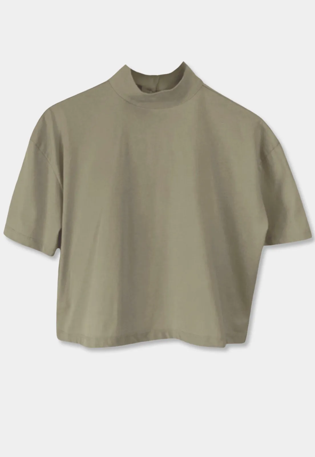 Turtleneck Crop T-shirt